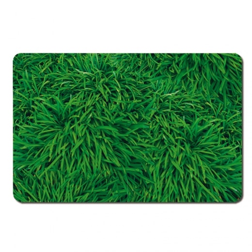 Prestieranie Grass, 44x29 cm (SET 4 ks) - 1