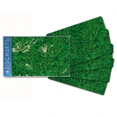 Prestieranie Grass, 44x29 cm (SET 4 ks) - 2