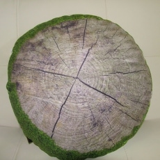 Vankúš guľatý s machovou potlačou Forest, 40 cm - 2